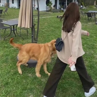 美国恐怖故事集第一季